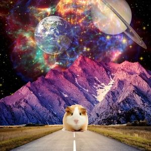 Meet your Posher, Wytchhazel1